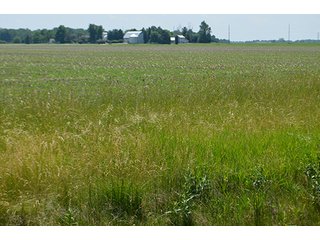 Property photo 76 - LAND AUCTION - 700+/- ACRES OFFERED IN 16 TRACTS IN ALLEN COUNTY, INDIANA
